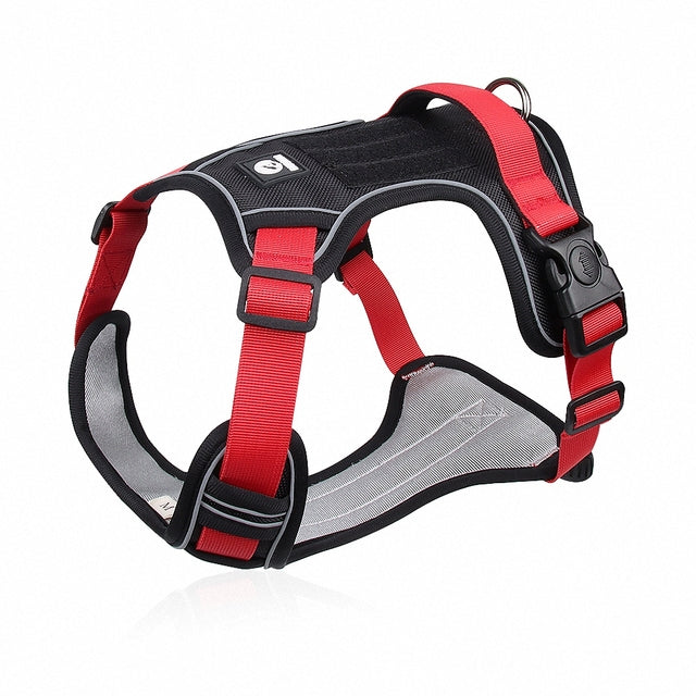 No Pull Dog Harness
