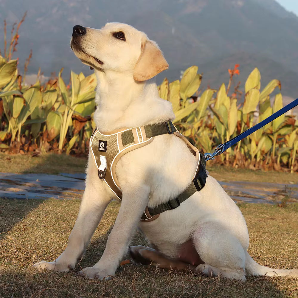 No Pull Dog Harness