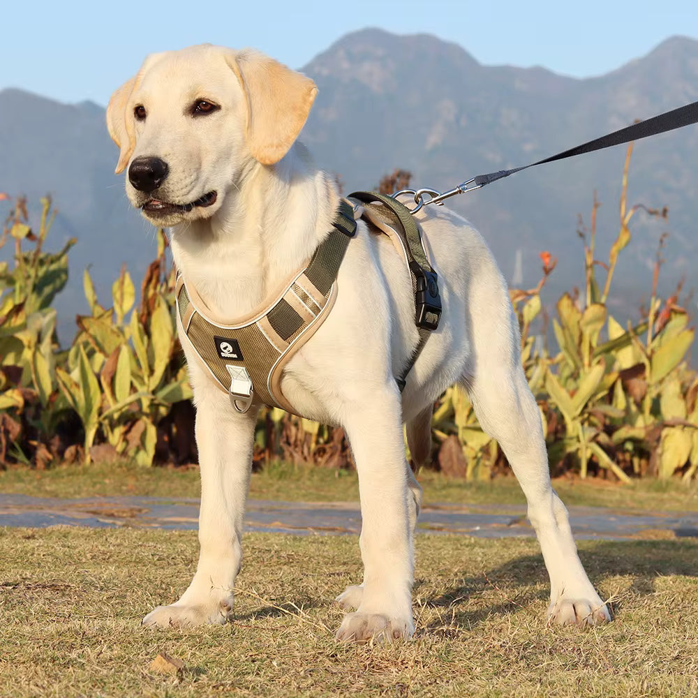 No Pull Dog Harness