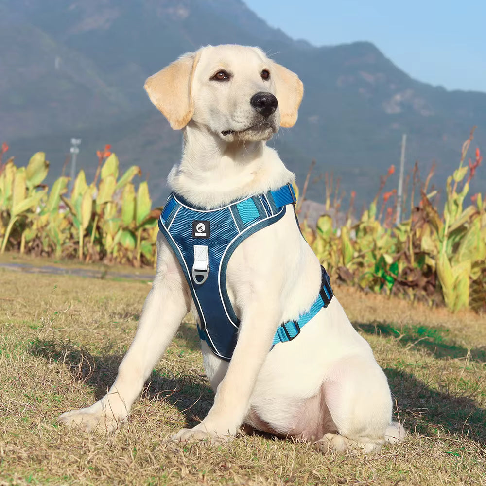 No Pull Dog Harness