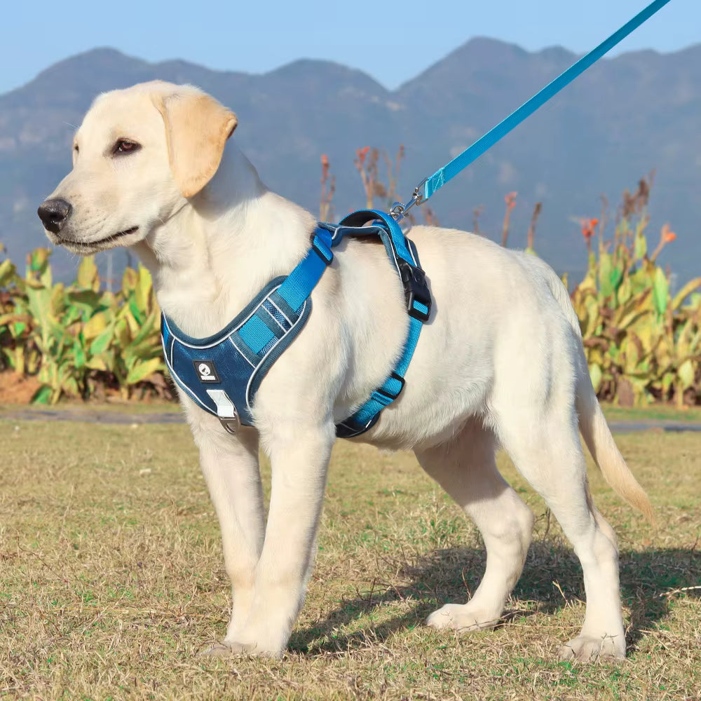 No Pull Dog Harness